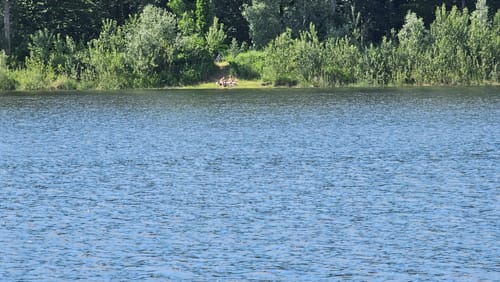 Naturpark Helmlingen: Altrheinweg
