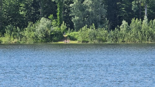 Naturpark Helmlingen: Altrheinweg
