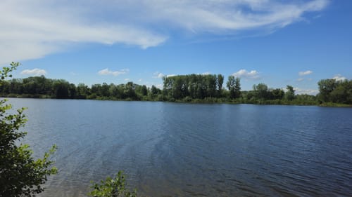 Naturpark Helmlingen: Altrheinweg
