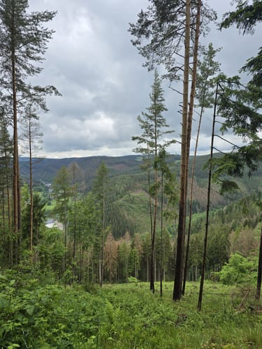 MTB: Oberweißbacher Bergbahn