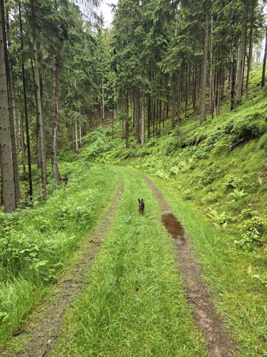 MTB: Oberweißbacher Bergbahn