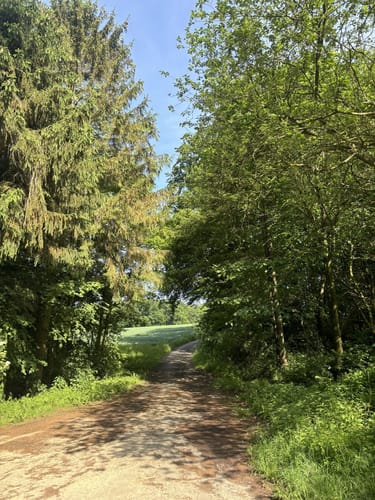 Häger Rundwanderweg 1