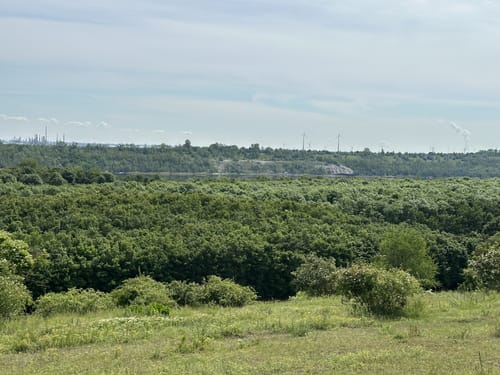 Rundweg Großkaynaer See