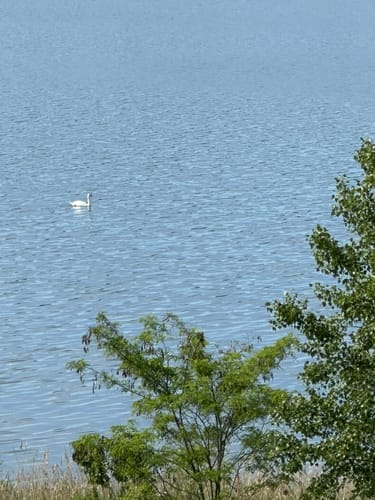 Rundweg Großkaynaer See