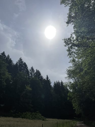 Gundelfingen - Bankhof - Berghäusle