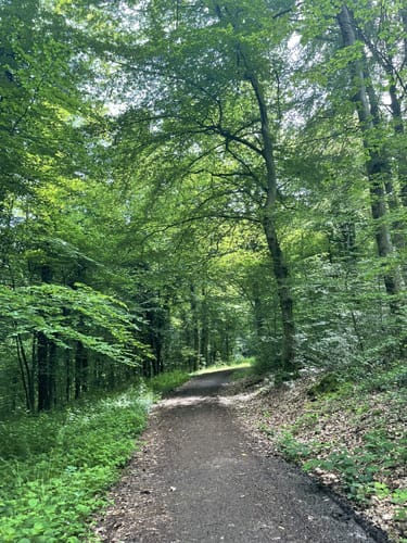 Gundelfingen - Bankhof - Berghäusle