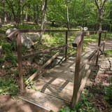 Dark Hollow Falls Trail Virginia - EyJidWNrZXQiOiJhc3NldHMuYWxsdHJhaWxzLmNvbSIsImtleSI6InVwbG9hZHMvcGhvdG8vaW1hZ2UvNzUyMTYyNzUvNGJmODQ5Zjk5ZTA2ZmQ1YmVhZjhlOGZjOGRhMzY1OTguanBnIiwiZWRpdHMiOnsidG9Gb3JtYXQiOiJqcGVnIiwicmVzaXplIjp7IndpZHRoIjoxNjAsImhlaWdodCI6MTYwLCJmaXQiOiJjb3ZlciJ9LCJyb3RhdGUiOm51bGwsImpwZWciOnsidHJlbGxpc1F1YW50aXNhdGlvbiI6dHJ1ZSwib3ZlcnNob290RGVyaW5naW5nIjp0cnVlLCJvcHRpbWlzZVNjYW5zIjp0cnVlLCJxdWFudGlzYXRpb25UYWJsZSI6M319fQ==