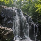 Dark Hollow Falls Trail Virginia - EyJidWNrZXQiOiJhc3NldHMuYWxsdHJhaWxzLmNvbSIsImtleSI6InVwbG9hZHMvcGhvdG8vaW1hZ2UvNzUyMTYyNzgvYjdhZmNiNTY1OWFlMDNmYjllOTIyYzhmZTdkZmExZTYuanBnIiwiZWRpdHMiOnsidG9Gb3JtYXQiOiJqcGVnIiwicmVzaXplIjp7IndpZHRoIjoxNjAsImhlaWdodCI6MTYwLCJmaXQiOiJjb3ZlciJ9LCJyb3RhdGUiOm51bGwsImpwZWciOnsidHJlbGxpc1F1YW50aXNhdGlvbiI6dHJ1ZSwib3ZlcnNob290RGVyaW5naW5nIjp0cnVlLCJvcHRpbWlzZVNjYW5zIjp0cnVlLCJxdWFudGlzYXRpb25UYWJsZSI6M319fQ==