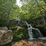 Dark Hollow Falls Trail Virginia - EyJidWNrZXQiOiJhc3NldHMuYWxsdHJhaWxzLmNvbSIsImtleSI6InVwbG9hZHMvcGhvdG8vaW1hZ2UvNzUyMTYzMDQvYTIxYmU1YjNmZjdmZjhhOGJiMzIwODk0MTVjNjdhOTIuanBnIiwiZWRpdHMiOnsidG9Gb3JtYXQiOiJqcGVnIiwicmVzaXplIjp7IndpZHRoIjoxNjAsImhlaWdodCI6MTYwLCJmaXQiOiJjb3ZlciJ9LCJyb3RhdGUiOm51bGwsImpwZWciOnsidHJlbGxpc1F1YW50aXNhdGlvbiI6dHJ1ZSwib3ZlcnNob290RGVyaW5naW5nIjp0cnVlLCJvcHRpbWlzZVNjYW5zIjp0cnVlLCJxdWFudGlzYXRpb25UYWJsZSI6M319fQ==
