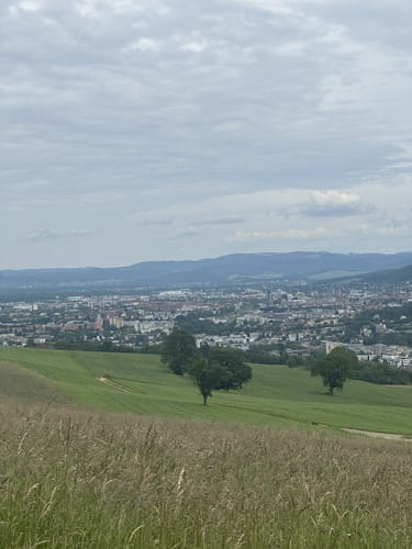 Schneeberg und Schönberg