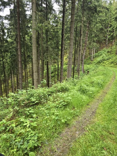 MTB: Oberweißbacher Bergbahn