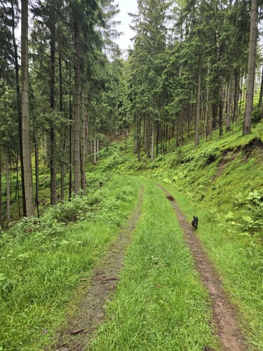 MTB: Oberweißbacher Bergbahn