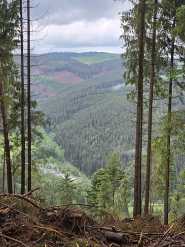 MTB: Oberweißbacher Bergbahn