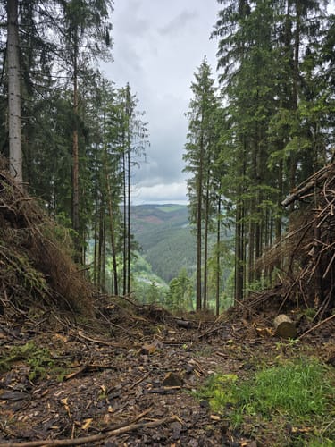 MTB: Oberweißbacher Bergbahn
