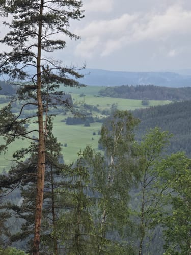 MTB: Oberweißbacher Bergbahn