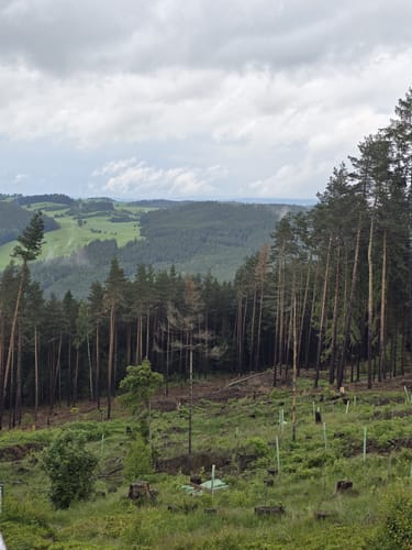 MTB: Oberweißbacher Bergbahn