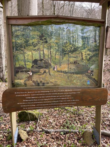 Hoher Meißner P1 (Premiumwanderweg)