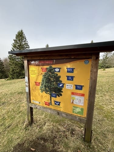 Hoher Meißner P1 (Premiumwanderweg)