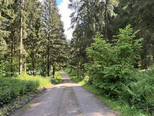 Durch den Deister