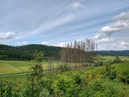 Panoramapfad Hatzfeld (Premiumwanderweg)