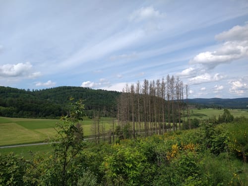 Panoramapfad Hatzfeld (Premiumwanderweg)