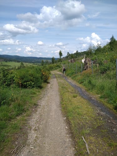Panoramapfad Hatzfeld (Premiumwanderweg)