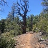 Red Rock Spring Trail to Highline Trail, Arizona - 60 Reviews, Map ...