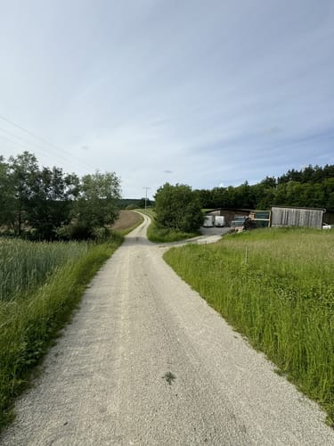 Banzer Wald - Kloster Banz - Banzberg