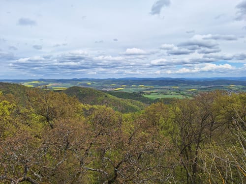 Bad Wildunger Rundwanderweg W5: Oberer Homberg-Rundweg