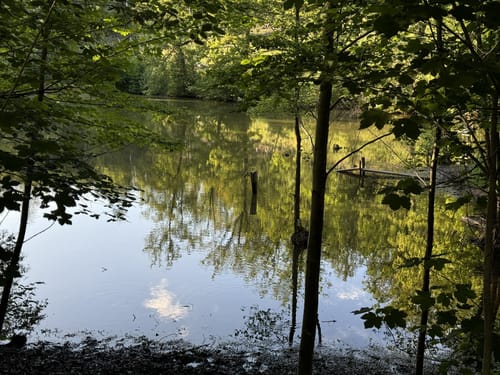 Nümbrecht - Hexenweiher - Schloss Homburg