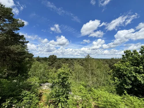 10 Best forest trails in Fontainebleau | AllTrails