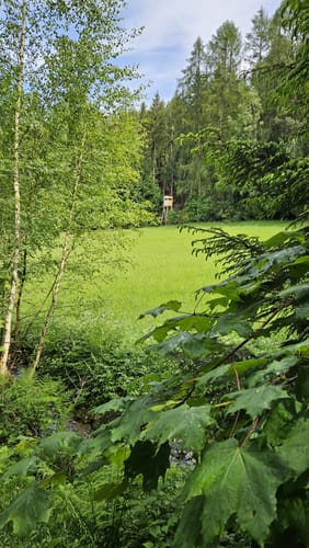 Göltzschtal Rundweg