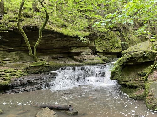 Wildes Monbachtal