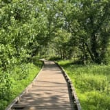 Lake Conestee Nature Park Loop, South Carolina - 1,322 Reviews, Map