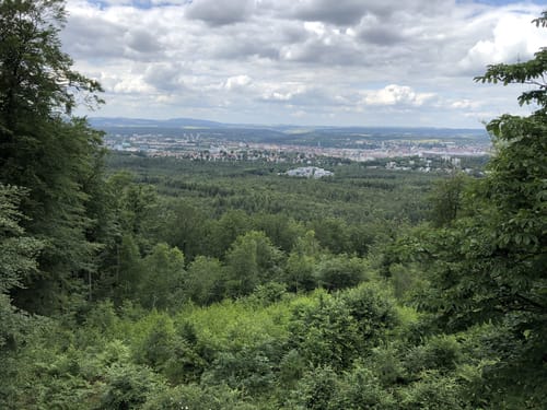Zum Humbergturm