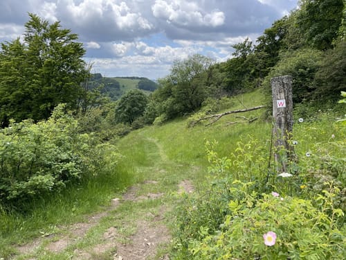 Rhön-Rundweg 4: Wasserkuppe