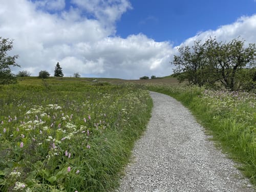 Rhön-Rundweg 4: Wasserkuppe