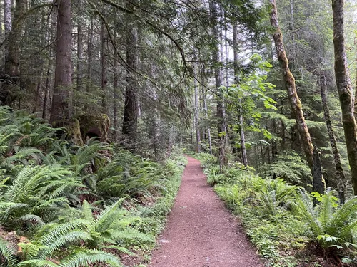 10 Best forest trails in Sooke Hills Wilderness Regional Park