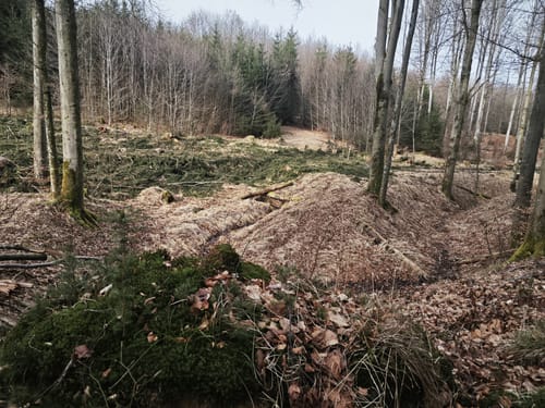 Jägersteig und Hubertussteig