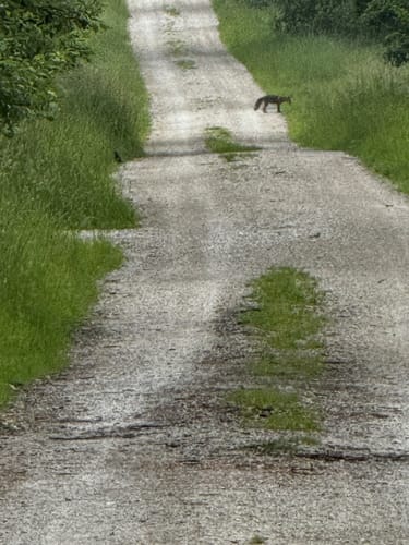 Rund um den Monheimer Weiher