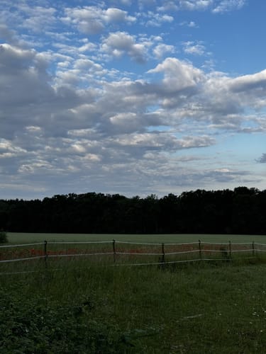 Rund um den Monheimer Weiher