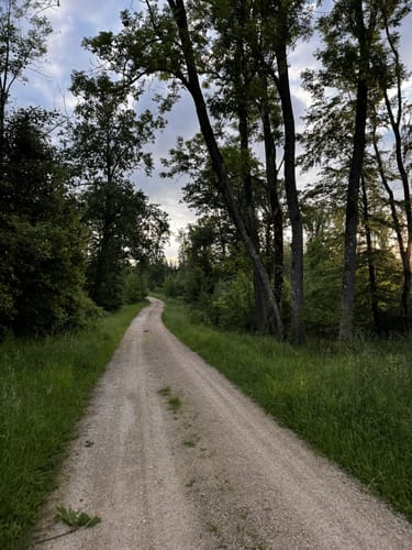Rund um den Monheimer Weiher