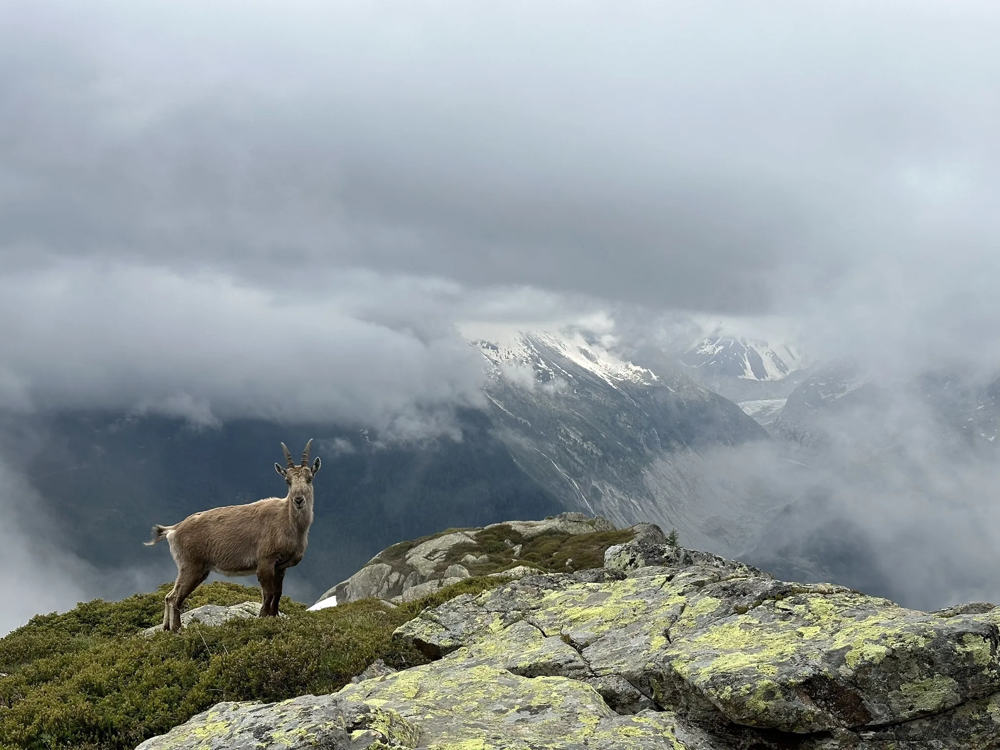 Photo of a trail from Saul Sulway with title Grand Balcon Sud - Le Lac Blanc