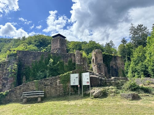 Neckarsteinach - Burg Schadeck [CLOSED]
