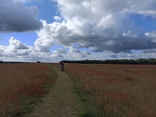 Naturschutzgebiet Wakenitz - Herrnburg