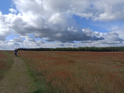 Naturschutzgebiet Wakenitz - Herrnburg