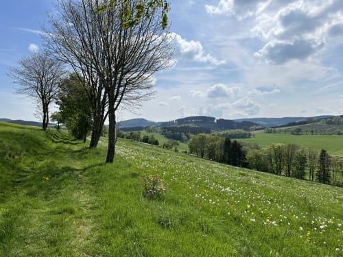 Rothaarsteig-Spur Grönebacher Dorfpfad