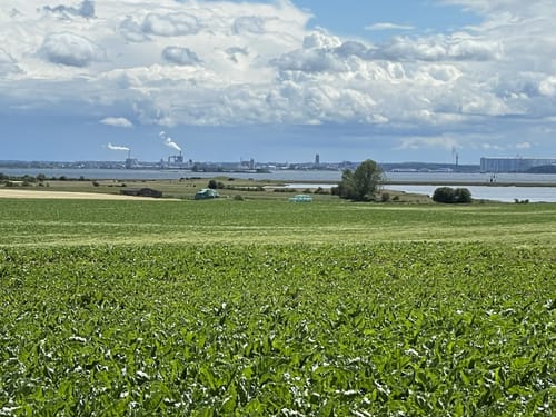 Poel: Am Schwarzen Busch - Kirchsee - Fauler See