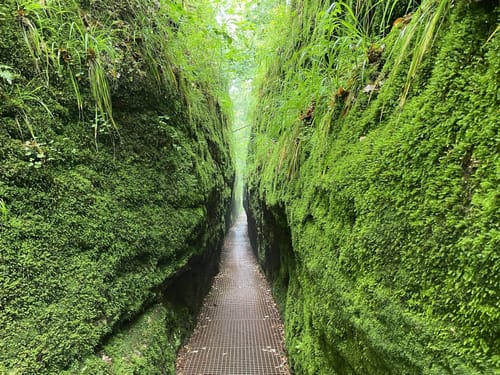 Drachenschlucht