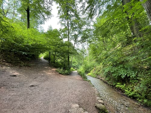 Drachenschlucht